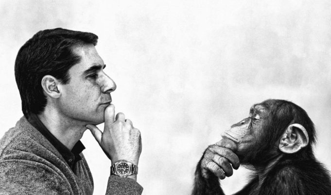 La sevillana Parnaso, elegida agencia del año en eficacia, creatividad y estrategia