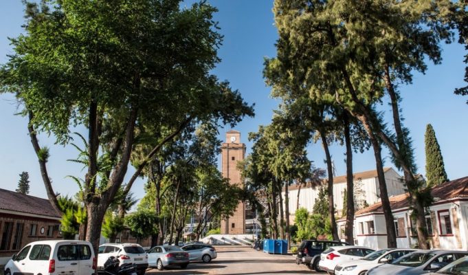 Puertos.-Adjudicada la gestión de los quioscos del Muelle de Nueva York y la concesión del párking de Delicias