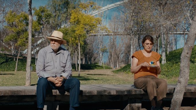 El Festival de Cine de Seattle estrena el documental valenciano ‘Una elefanta sobre la tela de una araña’