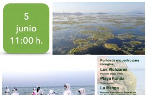 Organizaciones en defensa del Mar Menor recogerán algas este domingo como acto protesta por el estado de la laguna