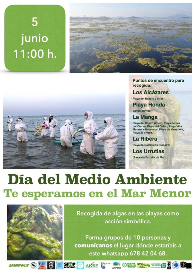 Organizaciones en defensa del Mar Menor recogerán algas este domingo como acto protesta por el estado de la laguna