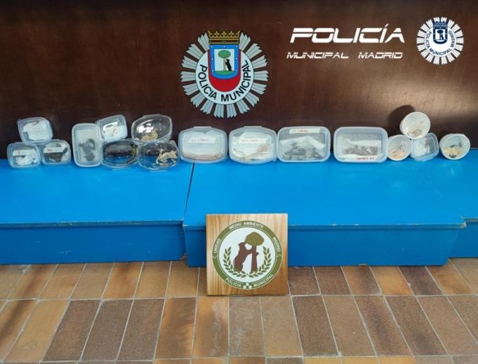 Decomisados 19 ejemplares de animales que estaban a la venta en tupperwares en un parking junto a Expotierra