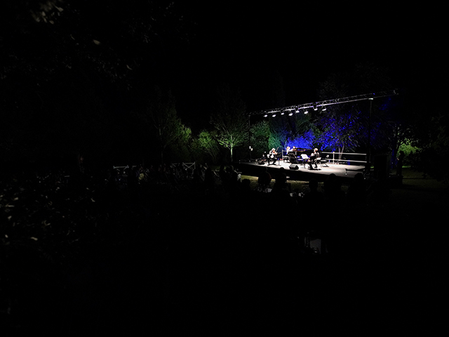 Veranisimo - Las Rozas de Madrid (1)