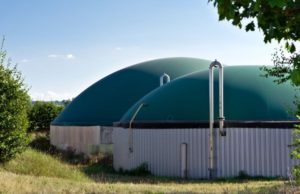 El ascenso del biogás en Europa abre un horizonte sostenible para España