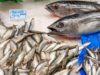 Parece alergia, pero no lo es: la intoxicación causada por pescado en mal estado