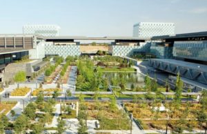 Telefónica continúa su camino hacia una digitalización responsable en 2025