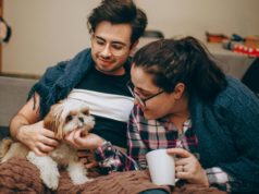 Andalucía reconoce el gasto veterinario en la Renta: conoce el mapa de deducciones en otras comunidades