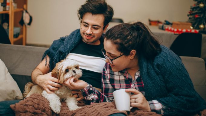 Andalucía reconoce el gasto veterinario en la Renta: conoce el mapa de deducciones en otras comunidades
