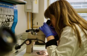 La ciencia redobla esfuerzos en salud femenina para cerrar la brecha de género