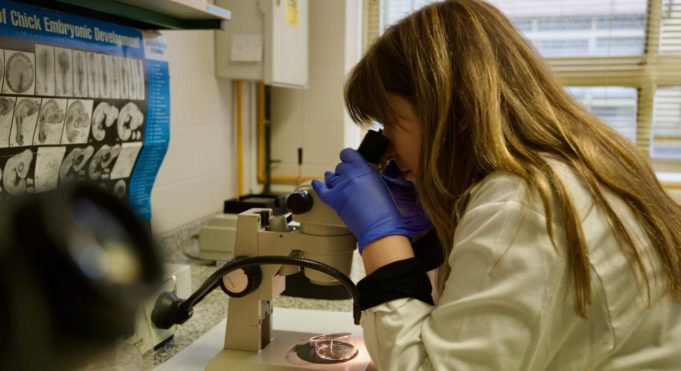 La ciencia redobla esfuerzos en salud femenina para cerrar la brecha de género